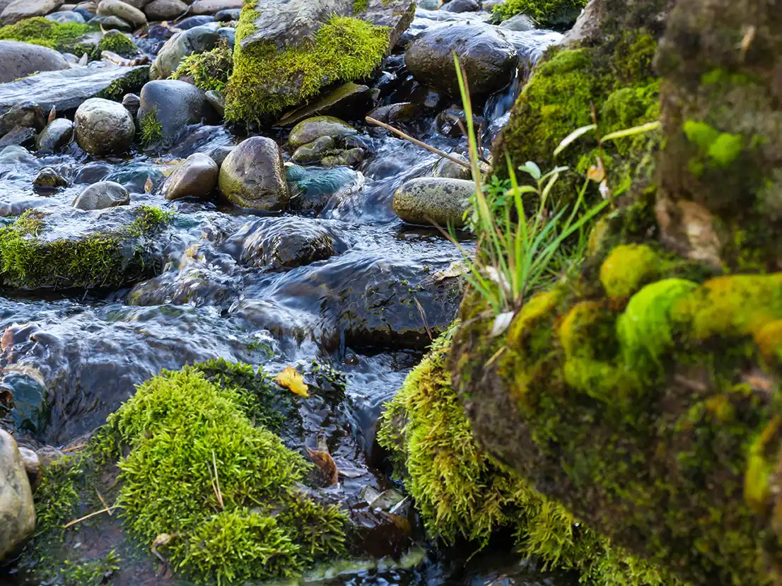 明月山雨水渗透